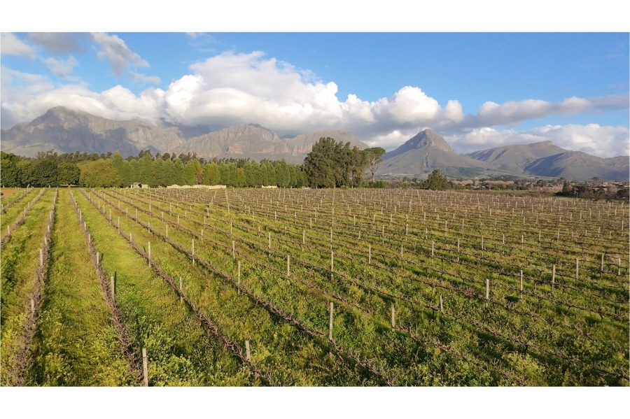 0 Bedroom Property for Sale in Klein Nederburg Western Cape